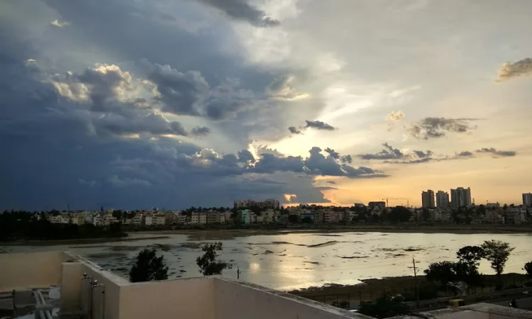 Lakes in Bangalore 2026 | Boating, Walking & Birdwatching